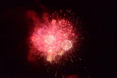 DSC_3437 (Large).JPG